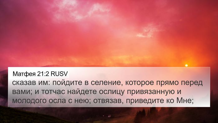 Матфея 21:2 RUSV 4K Wallpaper - сказав им: пойдите в - 4K Wallpaper Bible Verse