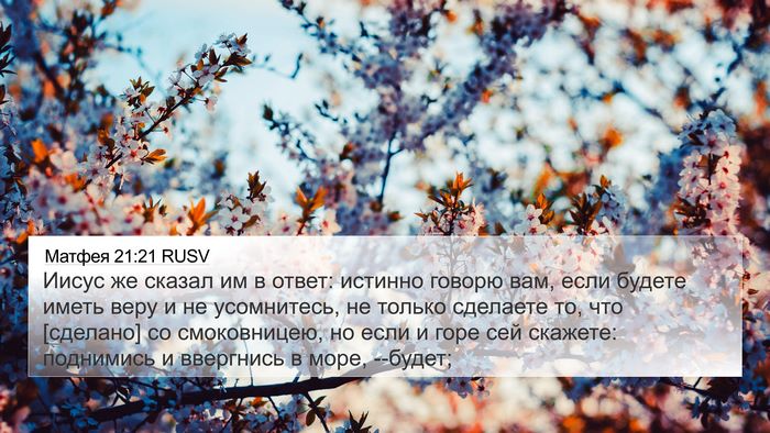 Матфея 21:21 RUSV Bible Verse Image