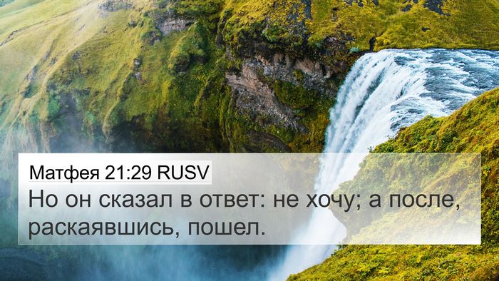 Матфея 21:29 RUSV 4K Wallpaper - Но он сказал в ответ: не - 4K Wallpaper Bible Verse