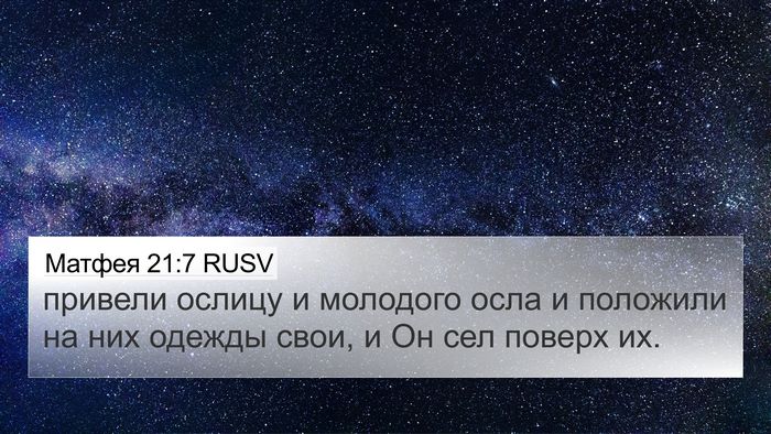 Матфея 21:7 RUSV 4K Wallpaper - привели ослицу и молодого - 4K Wallpaper Bible Verse