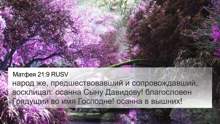 Матфея 21:9 RUSV Bible Verse Image