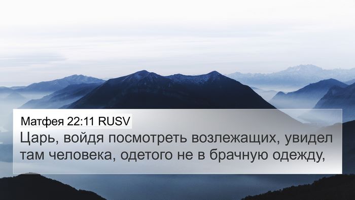Матфея 22:11 RUSV Bible Verse Image