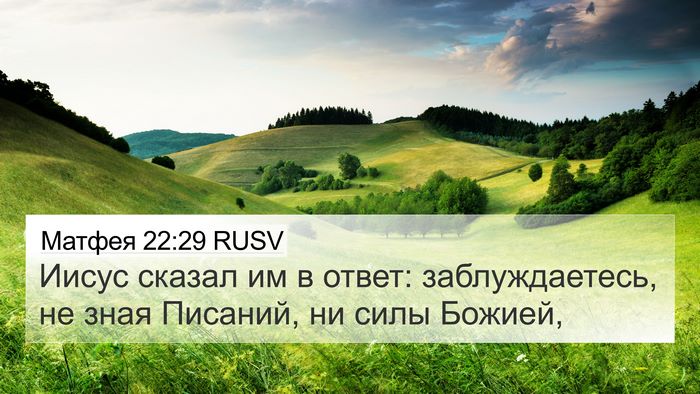 Матфея 22:29 RUSV Bible Verse Image
