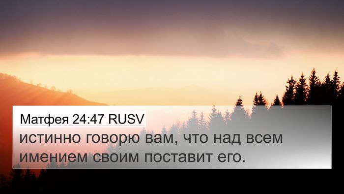 Матфея 24:47 RUSV Bible Verse Image