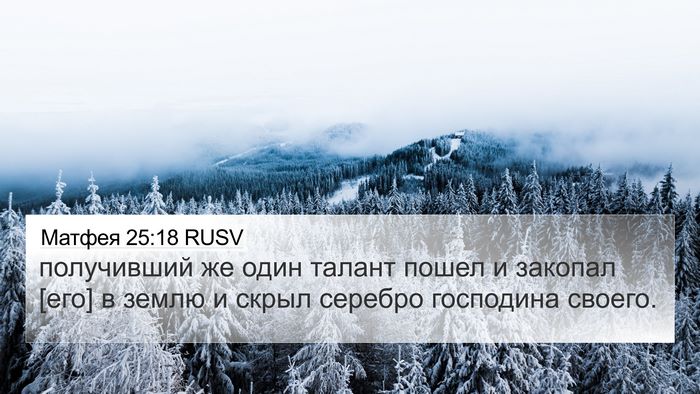 Матфея 25:18 RUSV Bible Verse Image