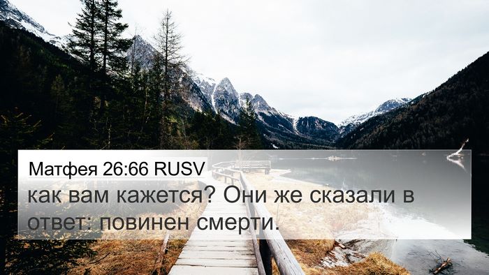Матфея 26:66 RUSV 4K Wallpaper - как вам кажется? Они же - 4K Wallpaper Bible Verse