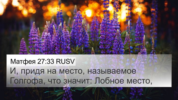 Матфея 27:33 RUSV Bible Verse Image