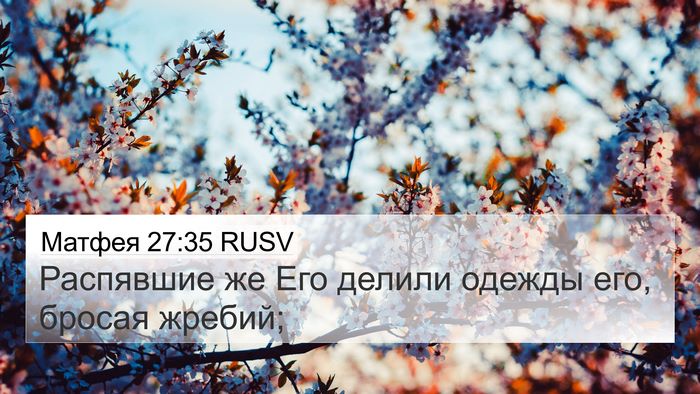 Матфея 27:35 RUSV Bible Verse Image