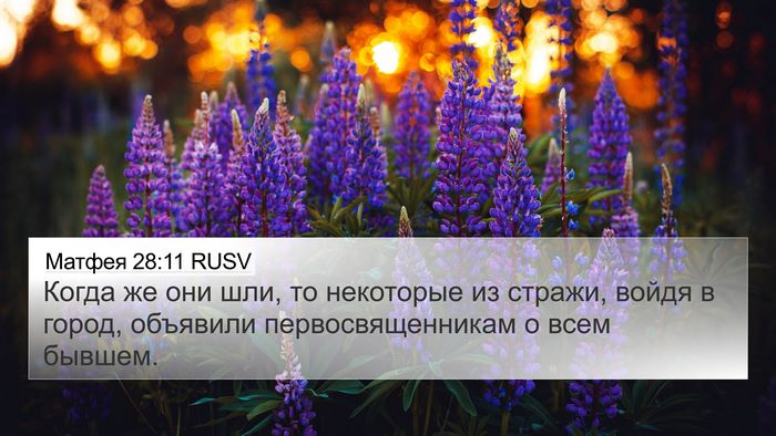 Матфея 28:11 RUSV Bible Verse Image
