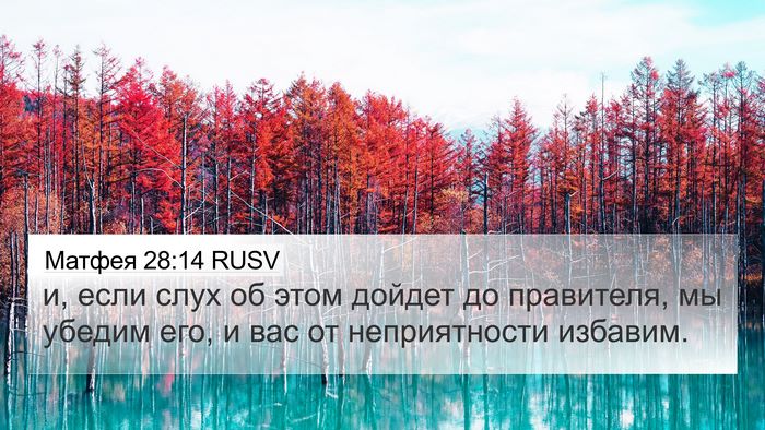 Матфея 28:14 RUSV 4K Wallpaper - и, если слух об этом дойдет - 4K Wallpaper Bible Verse