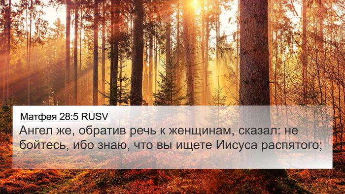 Матфея 28:5 RUSV Bible Verse Image