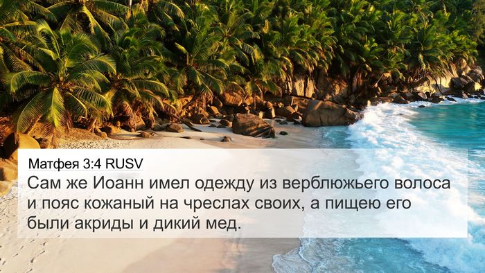 Матфея 3:4 RUSV Bible Verse Image