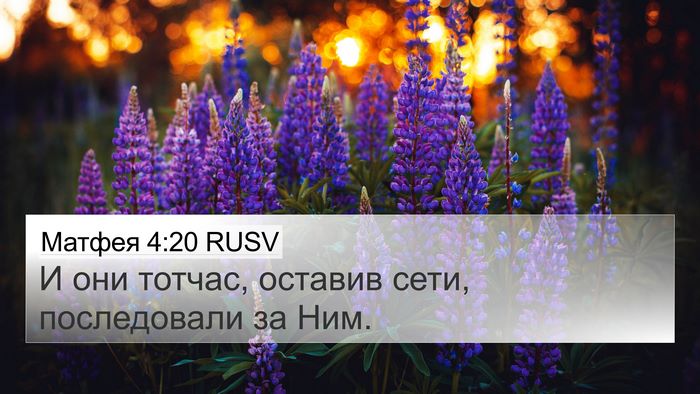 Матфея 4:20 RUSV 4K Wallpaper - И они тотчас, оставив сети, - 4K Wallpaper Bible Verse