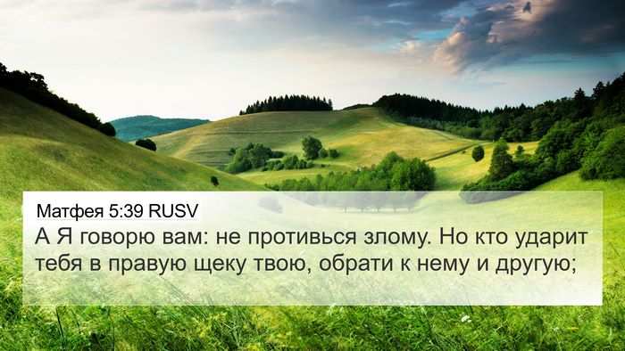 Матфея 5:39 RUSV Bible Verse Image