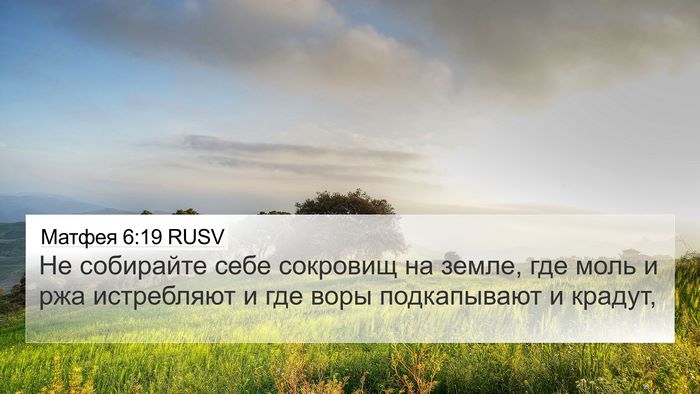 Матфея 6:19 RUSV Bible Verse Image