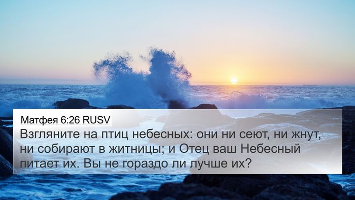 Матфея 6:26 RUSV 4K Wallpaper - Взгляните на птиц - 4K Wallpaper Bible Verse