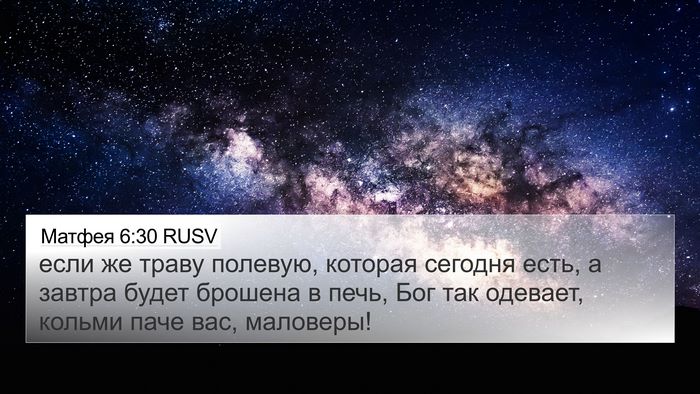 Матфея 6:30 RUSV Bible Verse Image
