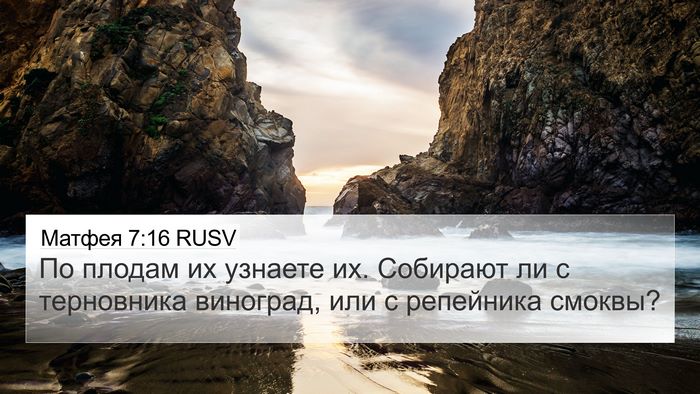 Матфея 7:16 RUSV Bible Verse Image