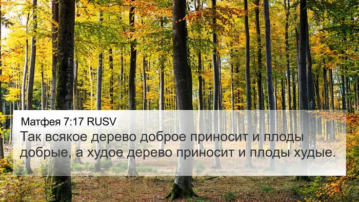 Матфея 7:17 RUSV 4K Wallpaper - Так всякое дерево доброе - 4K Wallpaper Bible Verse