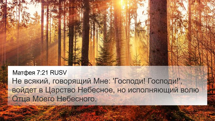 Матфея 7:21 RUSV Bible Verse Image