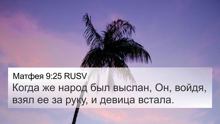 Матфея 9:25 RUSV Bible Verse Image