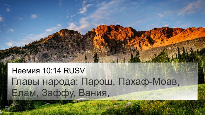 Неемия 10:14 RUSV Bible Verse Image
