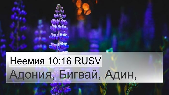 Неемия 10:16 RUSV 4K Wallpaper - Адония, Бигвай, - 4K Wallpaper Bible Verse