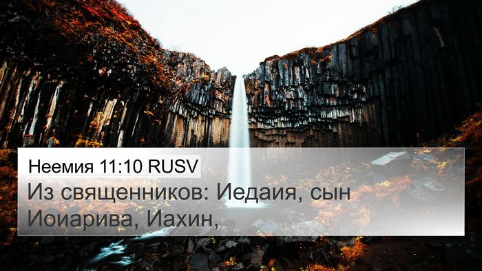 Неемия 11:10 RUSV 4K Wallpaper - Из священников: Иедаия, сын - 4K Wallpaper Bible Verse
