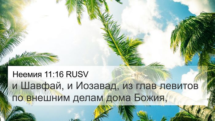 Неемия 11:16 RUSV 4K Wallpaper - и Шавфай, и Иозавад, из глав - 4K Wallpaper Bible Verse