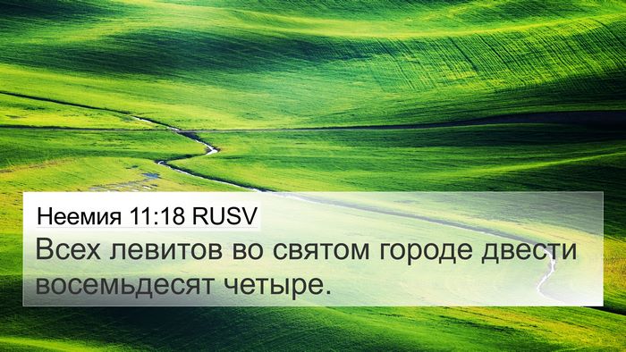 Неемия 11:18 RUSV Bible Verse Image