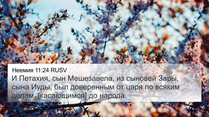 Неемия 11:24 RUSV Bible Verse Image