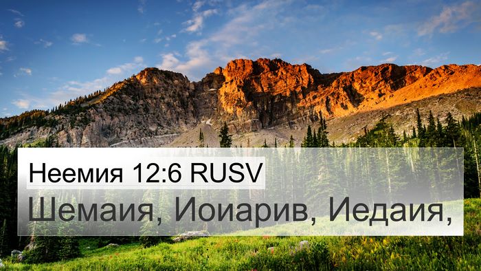 Неемия 12:6 RUSV Bible Verse Image