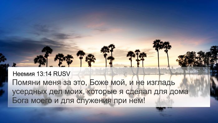 Неемия 13:14 RUSV Bible Verse Image
