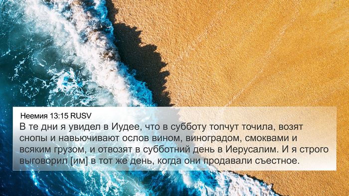 Неемия 13:15 RUSV Bible Verse Image