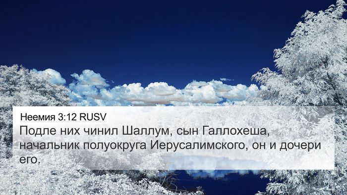 Неемия 3:12 RUSV Bible Verse Image