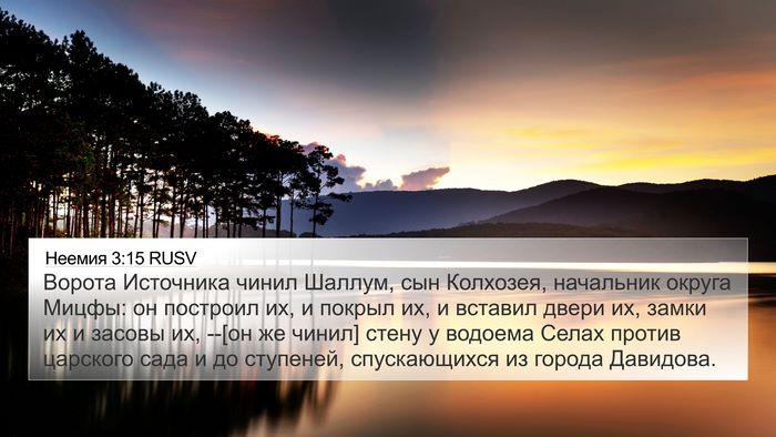 Неемия 3:15 RUSV Bible Verse Image