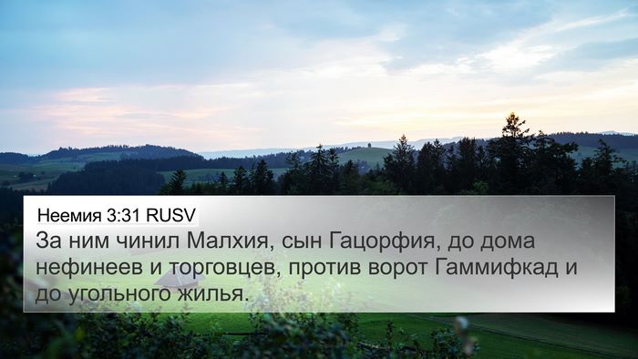 Неемия 3:31 RUSV Bible Verse Image