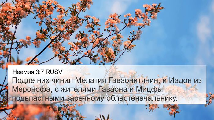 Неемия 3:7 RUSV 4K Wallpaper - Подле них чинил Мелатия - 4K Wallpaper Bible Verse
