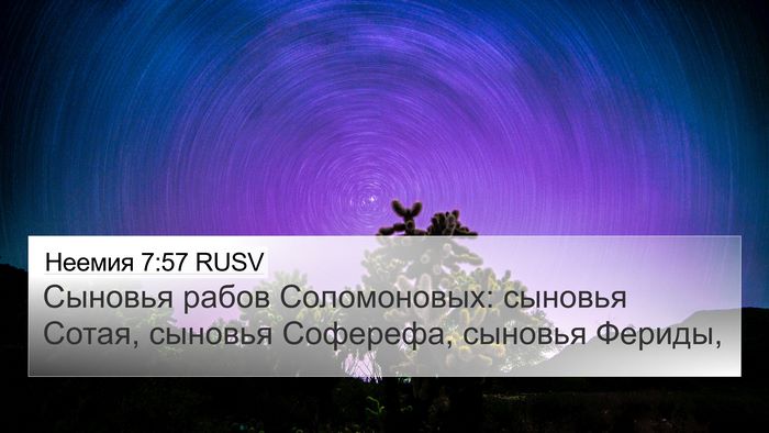 Неемия 7:57 RUSV Bible Verse Image