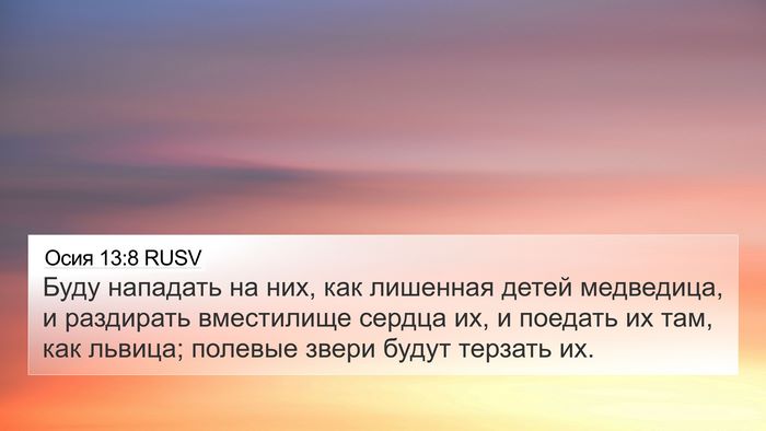 Осия 13:8 RUSV Bible Verse Image