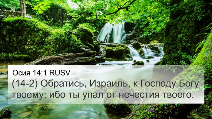 Осия 14:1 RUSV Bible Verse Image