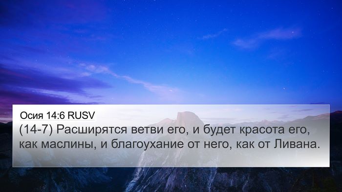 Осия 14:6 RUSV 4K Wallpaper - (14-7) Расширятся ветви его, и - 4K Wallpaper Bible Verse