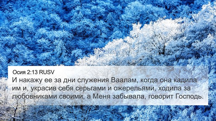 Осия 2:13 RUSV Bible Verse Image