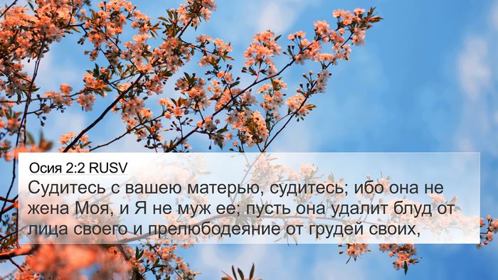 Осия 2:2 RUSV Bible Verse Image