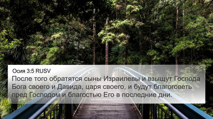 Осия 3:5 RUSV Bible Verse Image