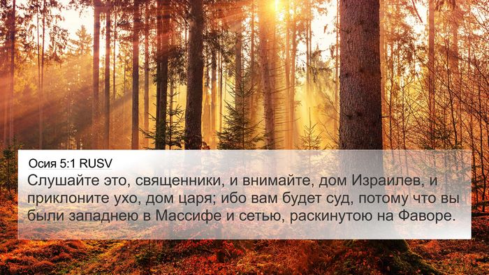 Осия 5:1 RUSV Bible Verse Image