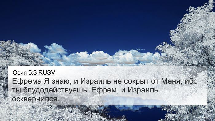 Осия 5:3 RUSV Bible Verse Image