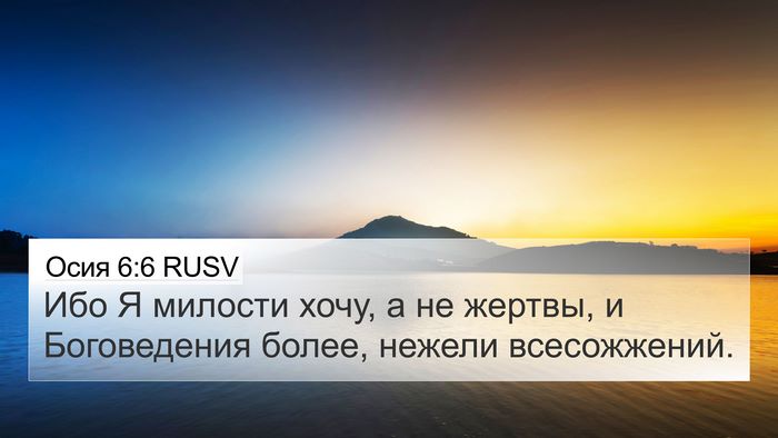 Осия 6:6 RUSV Bible Verse Image