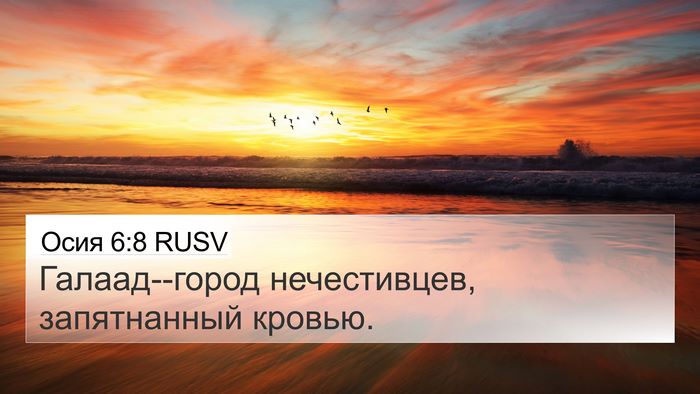 Осия 6:8 RUSV 4K Wallpaper - Галаад--город нечестивцев, - 4K Wallpaper Bible Verse