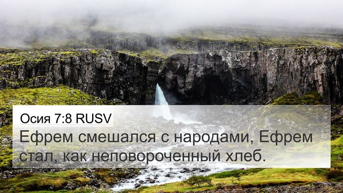 Осия 7:8 RUSV Bible Verse Image